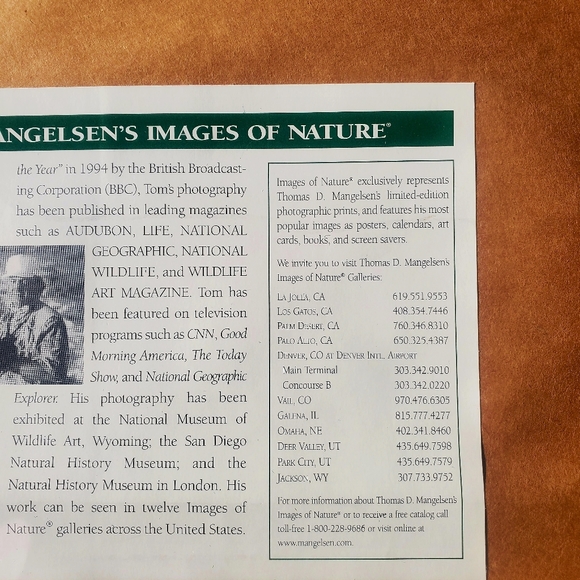 Thomas D. Mangelsen Out Of Darkness Bald Eagle Signed Framed Print Art 34"x28" - Picture 13 of 16